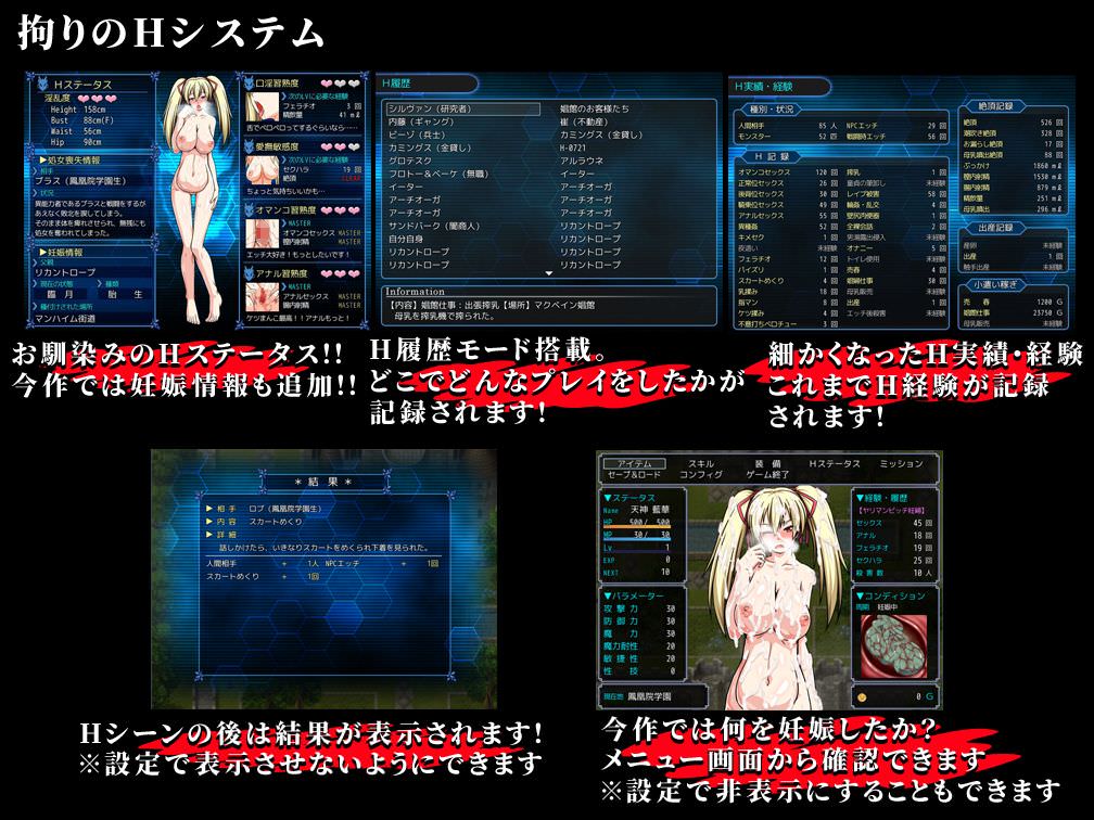 拘りのHシステムでエッチなステータスを見れる